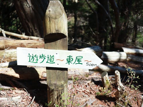 山を愛する町民が自ら山を守り、山でのアクティビティを日常的に楽しんでいる。