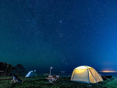 晴天のゲレンデを、鹿の家族がのんびりとお散歩。こんな風景が身近にあります。