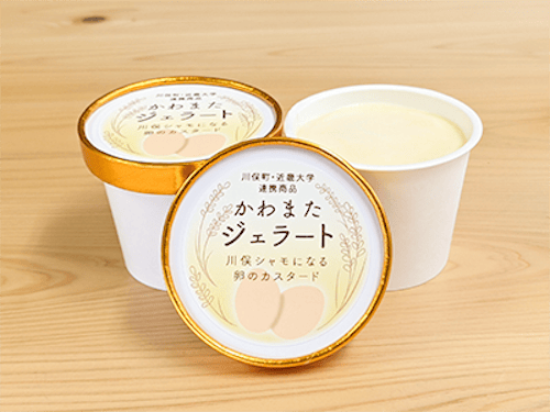 近畿大学が共同開発している「かわまたジェラート」の試食会(写真提供:近畿大学)