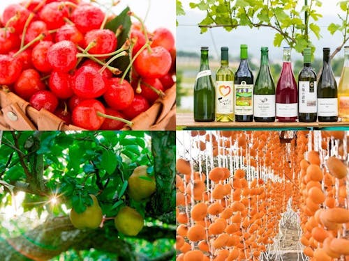四季折々のフルーツとワインが特産!