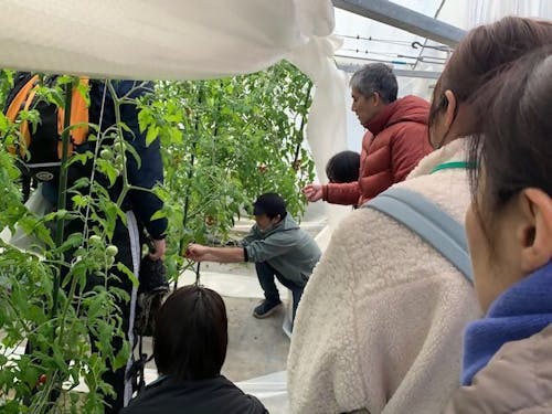 トマト農家さん　訪問