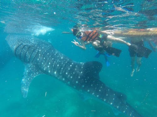 フィリピンの語学留学時代(提供:野崎真氏)