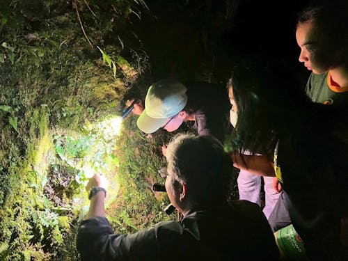 山の中で夜の生態系を観察（提供：野崎真氏）