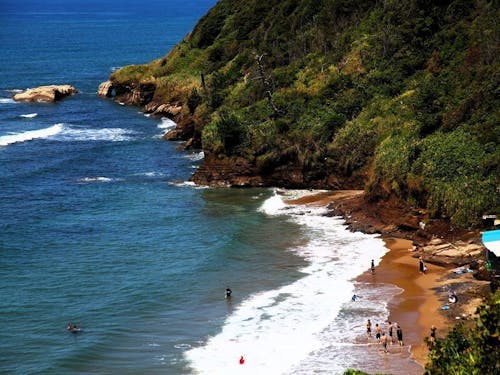 牡蠣やサザエを味わえる「海の家」には、地元民や移住者が自然と集まる。