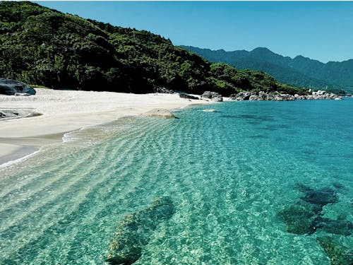 休みの日も、自然に囲まれながらゆったりする時間も。憧れの暮らしを実現できます。