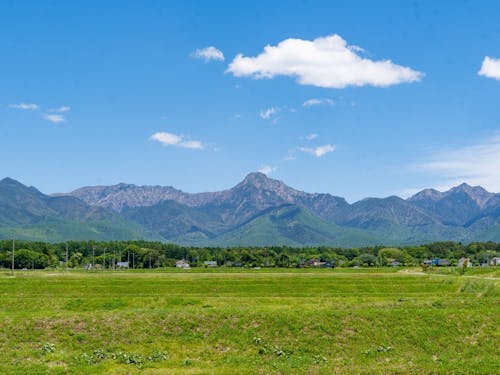 近くには田園風景が広がり、こんな景色も望めちゃう!