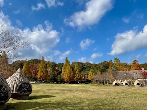 開放的なくつろぎの場