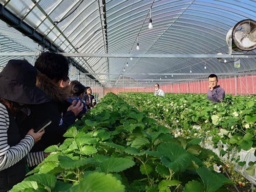 過去のツアーの様子