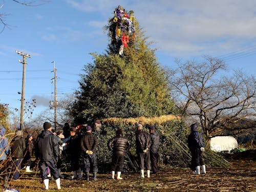 沖島左義長の準備。未来に残したい風景。