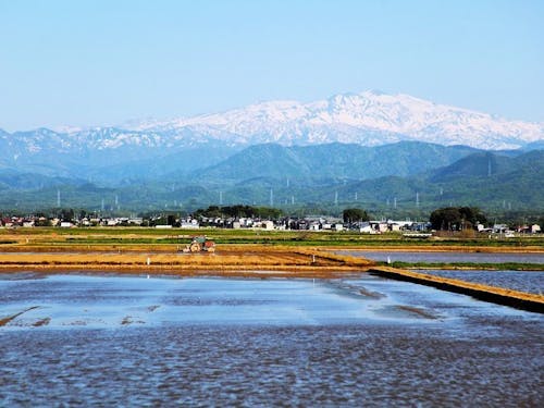 通勤時間すら、癒しのドライブ。窓から見える田園風景。