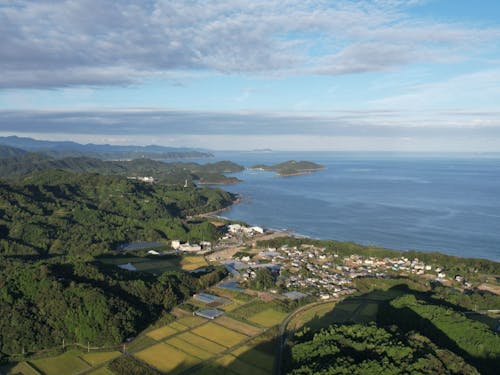 生見サーフィンビーチ