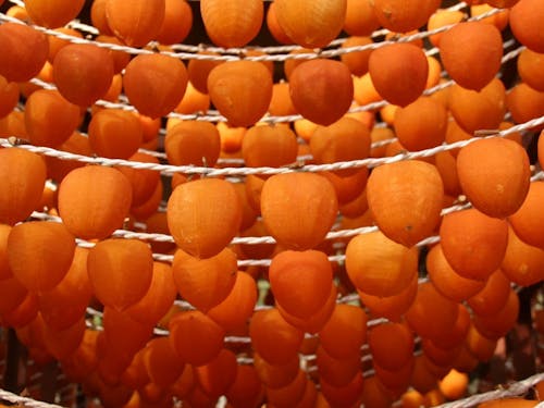 あんぽ柿の干し場