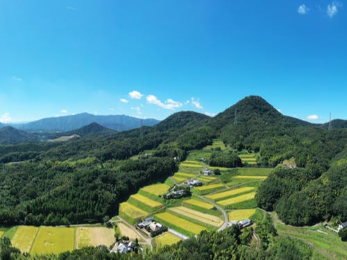高鉢山と大相集落