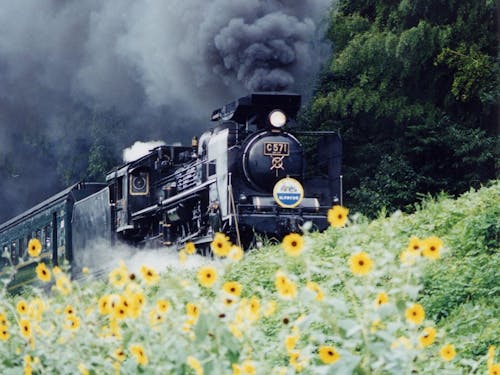 SL「やまぐち」号が駆け抜ける姿は迫力があります