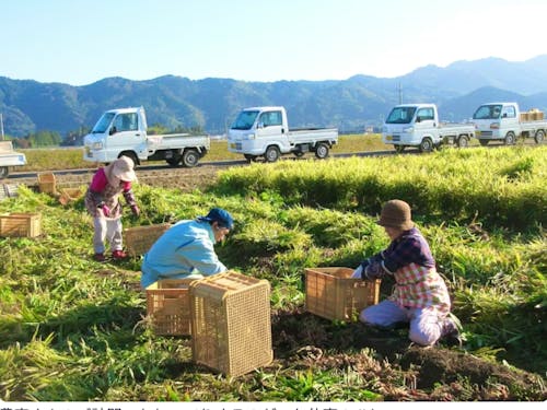 農家さんのご訪問・おしゃべりするのが、お仕事のひとつ。