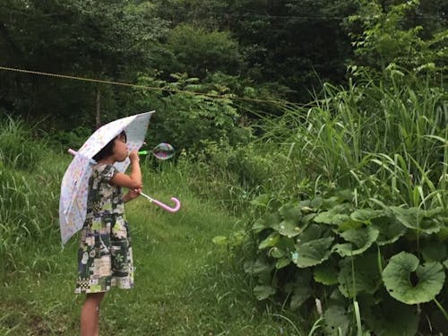 豊かな自然の中での暮らし