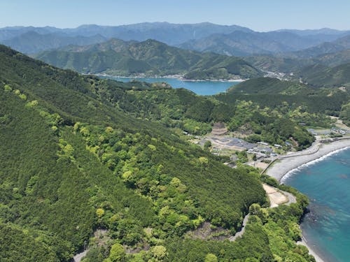 海が見える環境で林業を体験してみませんか？？