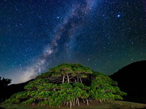 夜は満点の星空が☆