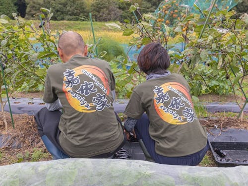 嘉依家（かよいや）さんご夫妻