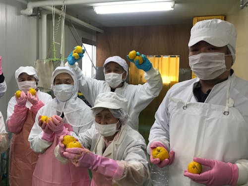 楽しくゆず加工する従業員さん