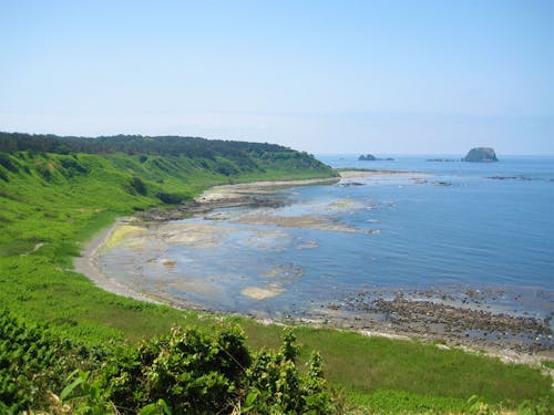 コンパクトで豊かな自然環境