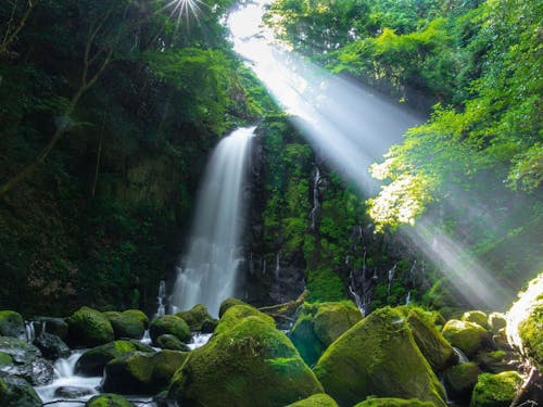 木漏れ日と水しぶきが心地よい白糸の滝