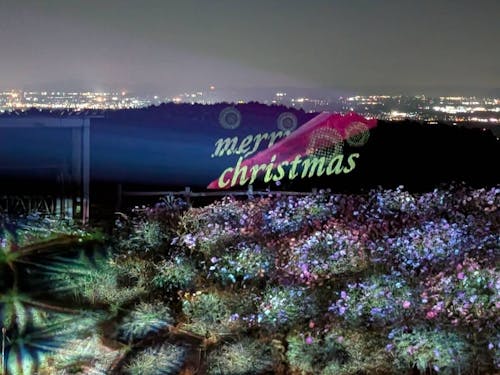 自然を活かしたプロジェクションマッピングを企画・実施