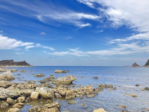 高校生におすすめされた場所は大体行きました