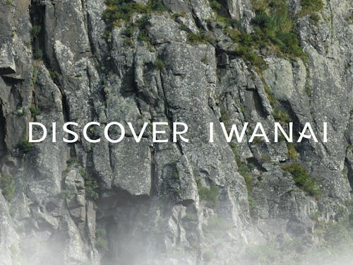 https://iwanai-onsen.jp/discover-iwanai/