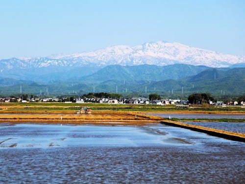 山、川、田んぼの織りなす雄大な自然が、美味しいお米を育む。【片山津】