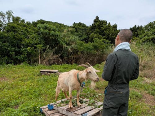 ヤギと一緒にパシャリ(提供:笹沼誠)