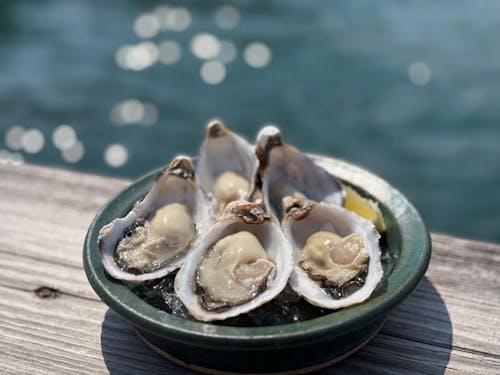 2025年2月に誕生したブランド牡蠣「ADOMILK」