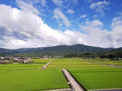 田園風景