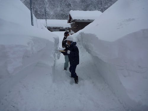 豪雪時の様子