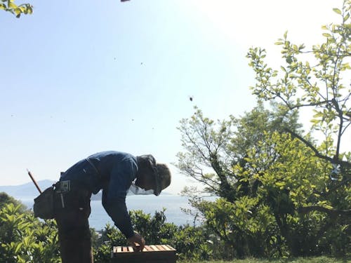 瀬戸内海を望みながら、蜂のお世話をする内田さん