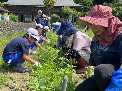 伝統野菜教室の様子