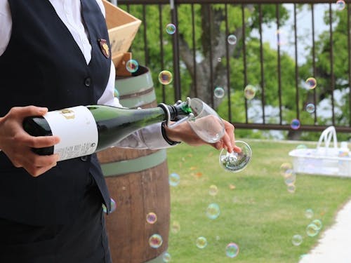 (体験例)ワイン造り