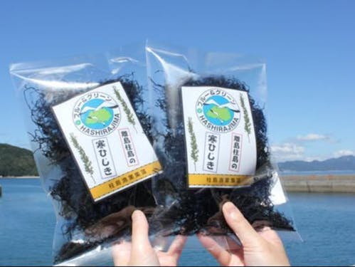 【岩国市☆柱島】特産品の寒ひじき