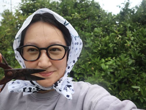 実家のすだちを収穫！（編集部さっちゃん）