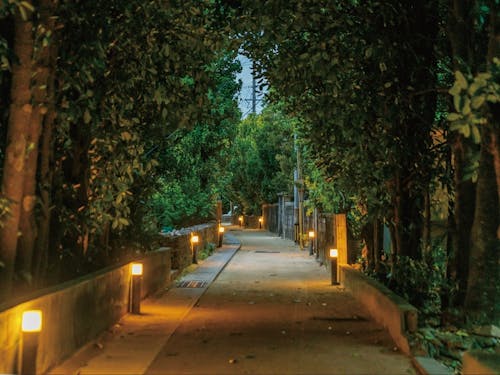 沖縄県 渡名喜村　（渡名喜島）【移住全般・地域おこし協力隊】