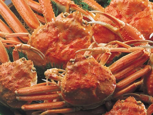 冬の味覚の王様!蟹の地元価格は?