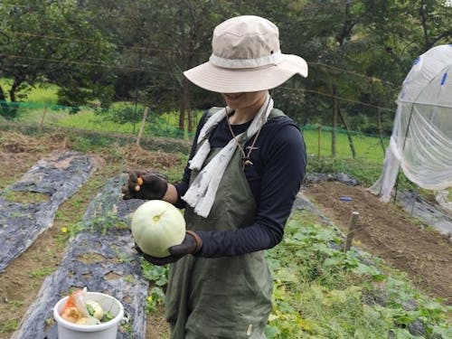 1期生が育て、収穫したメロンです
