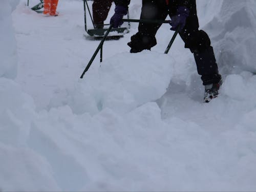 雪との付き合い方を聞いてみよう。
