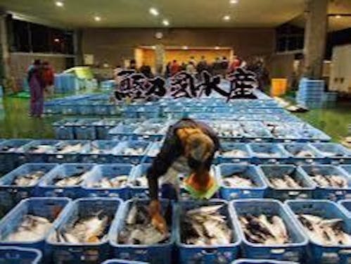 カツオだけのセリが行われる久礼漁協