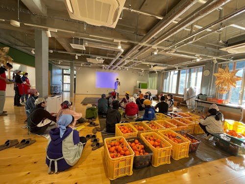 干し柿づくりボランティア