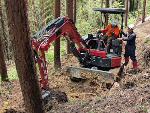 自伐型林業体験研修の様子