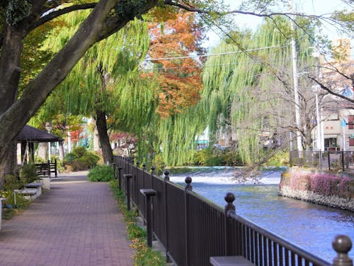 ゆったりとした時間を過ごせる広瀬川の川沿い