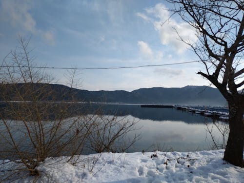 ワカサギ釣り場の桟橋が右手に見えます。