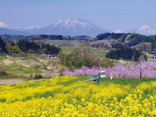 春の飯綱町の景観
