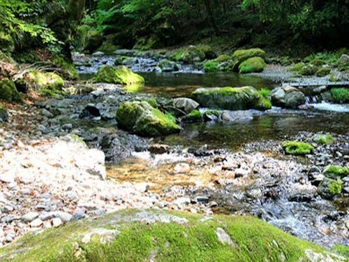 自然豊かな秩父市の景色